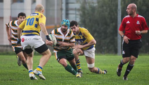 Rugby - Gli Orsi stanno tornando, è pari con il Settimo Rugby - Gli Orsi stanno tornando, è pari con il Settimo
