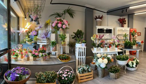 Occhieppo Inferiore, l’Orchidea celebra tutte le mamme: un omaggio alla donna più importante del mondo.