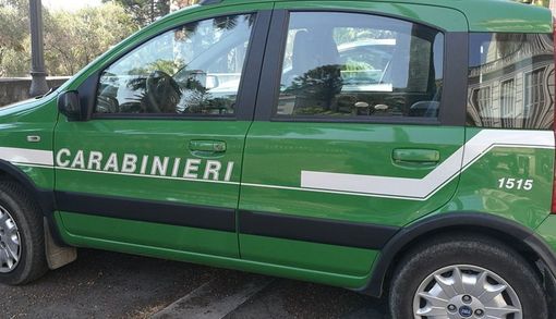 Brucia sterpaglie nonostante il divieto: scatta la multa per un uomo di Massazza