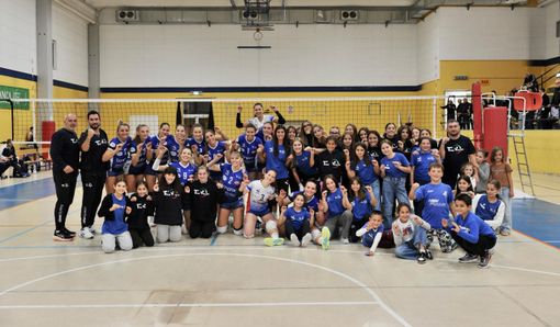 teamvolley pallavolo teamvolley pallavolo