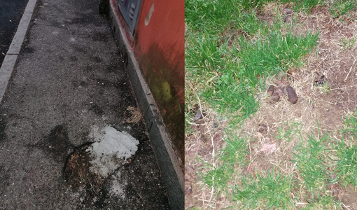 san paolo residente san paolo residente