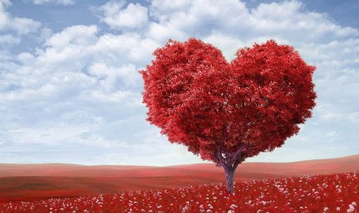 "Vi racconto una storia di coraggio e di amore", una lettrice ci scrive "Vi racconto una storia di coraggio e di amore", una lettrice ci scrive