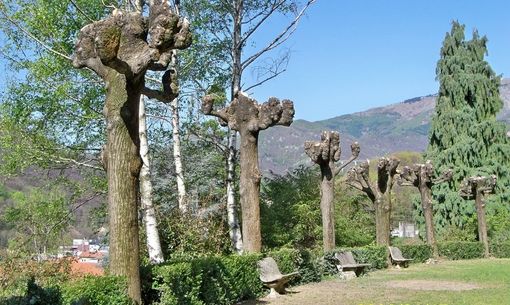 parco reda valdilana