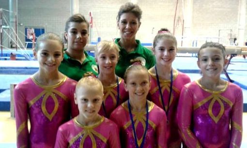 Ginnastica Artistica - Ottimo 5° posto per la società La Marmora in serie C1