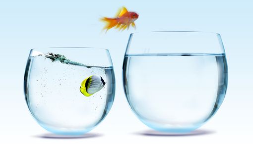 21 giorni prima di cambiare