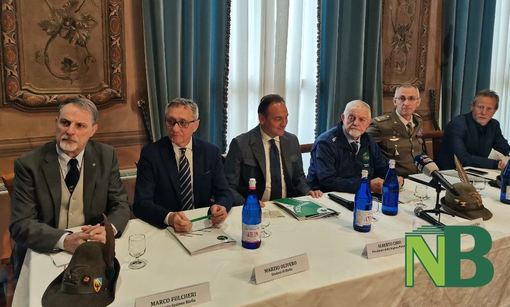 adunata cirio adunata cirio