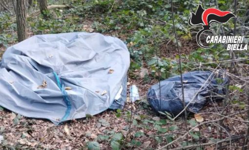 Contrasto allo spaccio di stupefacenti, importante operazione dei Carabinieri nei boschi della Valle Elvo