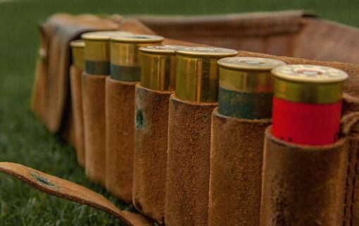 tar accolto tar accolto