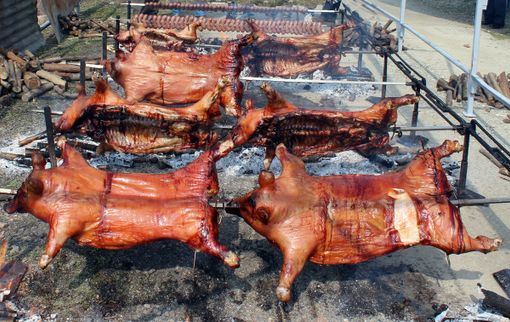 Gaglianico, torna  il pranzo benefico sardo all’ANFFAS - Foto Su Nuraghe