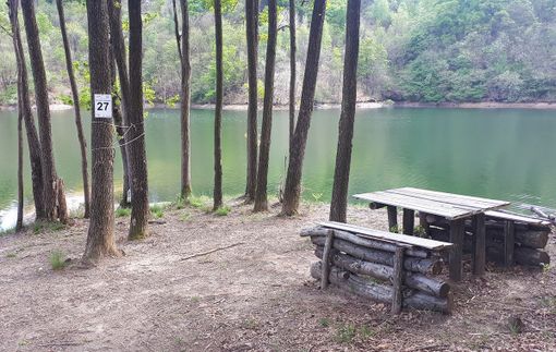 Casapinta: 3 percorsi e una panoramica a nuova vita grazie ai volontari Casapinta: 3 percorsi e una panoramica a nuova vita grazie ai volontari
