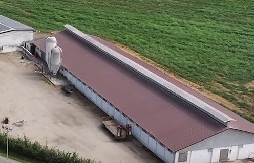 Dal Nord OvestScatta la seconda fase di contenimento della peste suina nel novarese Dal Nord OvestScatta la seconda fase di contenimento della peste suina nel novarese