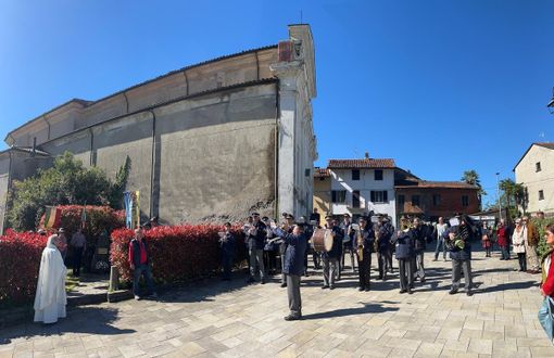 viverone comune viverone comune