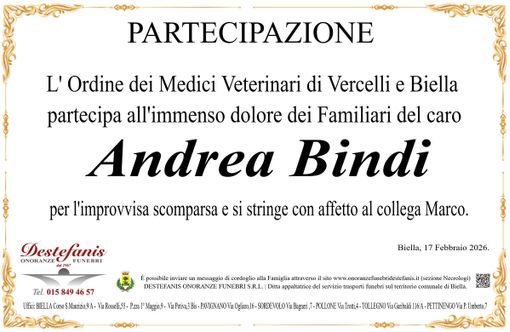 Andrea Bindi - Partecipazione
