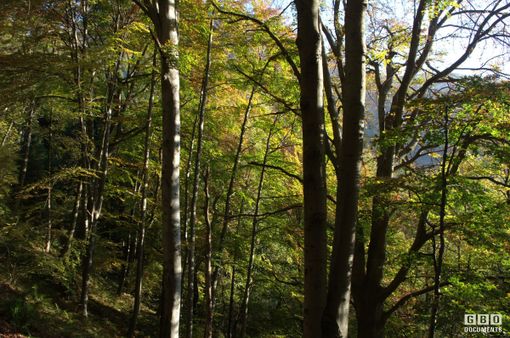 giardino oropa giardino oropa