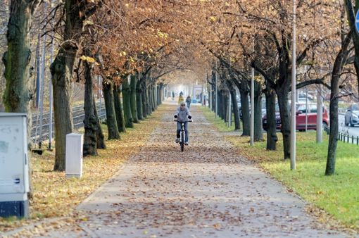Mobilità sostenibile, Biella aderisce al bando ministeriale "Bici in Comune", foto pixabay