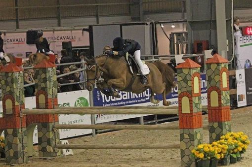 Salto ostacoli e dressage a Mottalciata