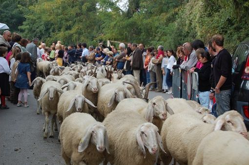 Alcune immagini delle edizioni precedenti Alcune immagini delle edizioni precedenti