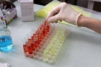 Svolta nella produzione di sangue artificiale, un 'segnale' può farla decollare