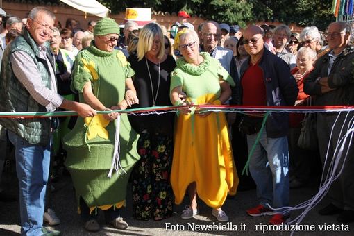 Foto Catia Ciccarelli