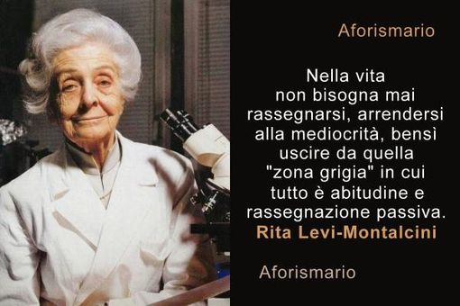 Fonte pagina Twitter Aforismario