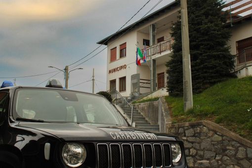 cane zumaglia cane zumaglia