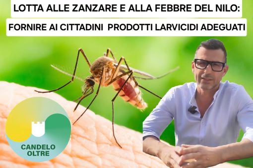 Candelo, servono più azioni contro le zanzare e il rischio West Nile
