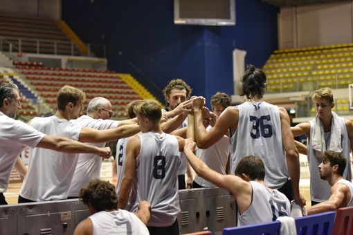 basket