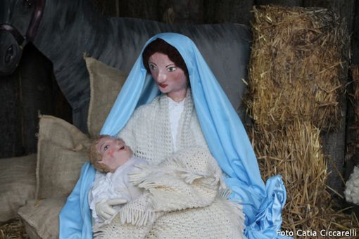 Foto e video Catia Ciccarelli