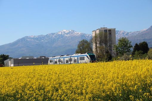 Alcuni scatti di Carlos Gianesini