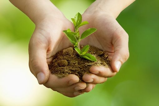 Ambiente: Letture religiose e laiche a confronto al Museo del Territorio di Biella Ambiente: Letture religiose e laiche a confronto al Museo del Territorio di Biella
