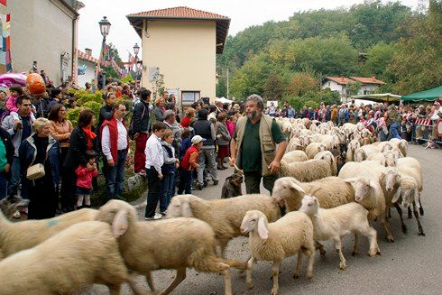 Foto edizioni precedenti
