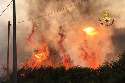 incendi boschivi