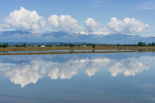 Foto di repertorio consorzio est sesia