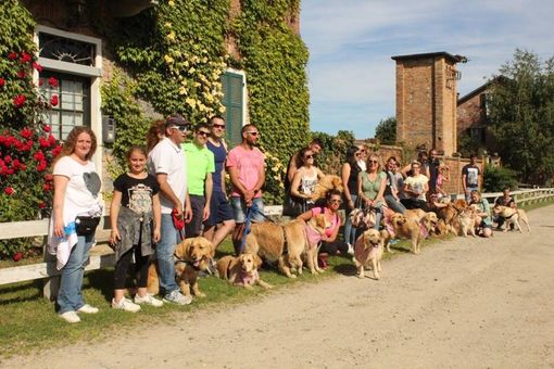 A Candelo il terzo raduno con i Golden Retriever