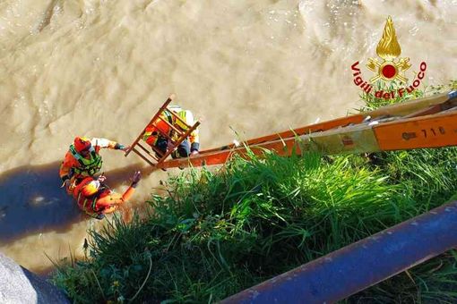 persona scomparsa persona scomparsa