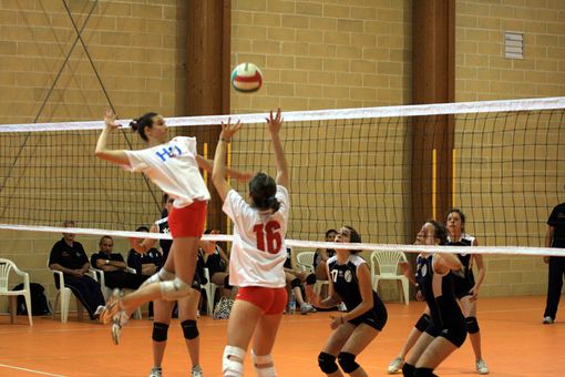 Volley: venerdì il raduno della Sprint Virtus Biella