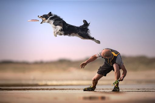 Occhieppo Superiore: Cani e fotografia, binomio perfetto mostrato dall’artista Claudio Piccoli
