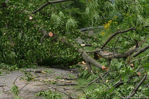 Foto di repertorio Foto di repertorio