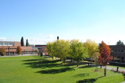 Città Studi: I ragazzi del Tessile Moda al Lanificio Drago di Verrone