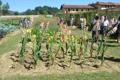 Fotoservizio Fighera Fotoservizio Fighera