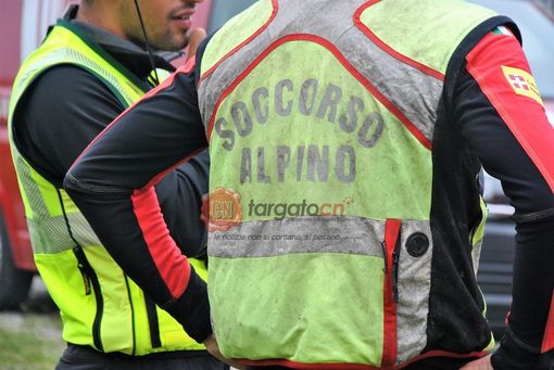 gregge pecore gregge pecore