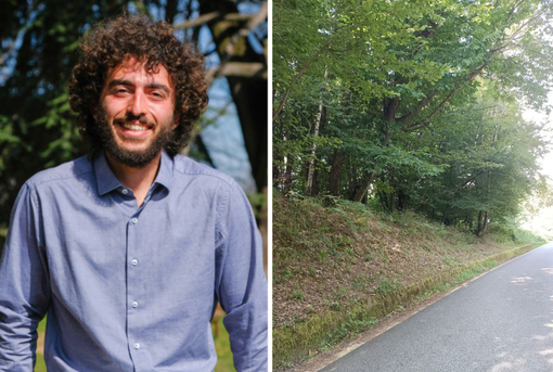 Quando il verde invade le strade: rischi, regole e buone pratiche per intervenire consapevolmente