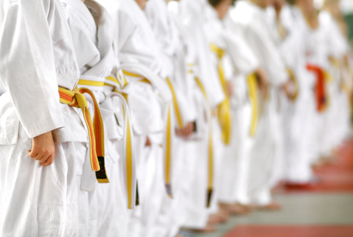 Salussola: open day di karate aperto a tutti