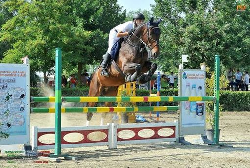 Equitazione - In 150 al Cem per il nazionale di salto ostacoli e dressage
