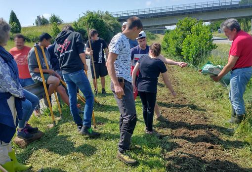Biella, allevi dell'Istituto Agrario: preparazione e semina di piante mellifere all'Oasi delle Api (archivio).