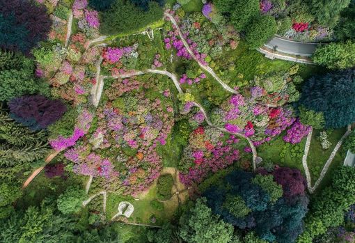 La Conca dei rododendri: arriva la primavera all’Oasi Zegna.
