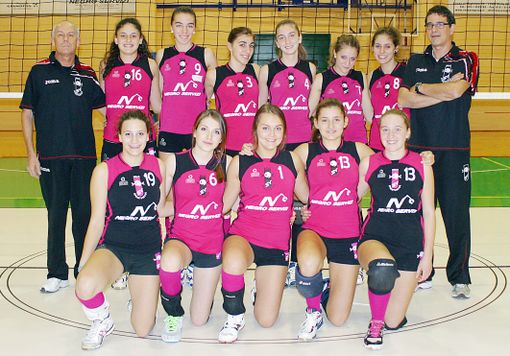 La formazione del Negro Servizi