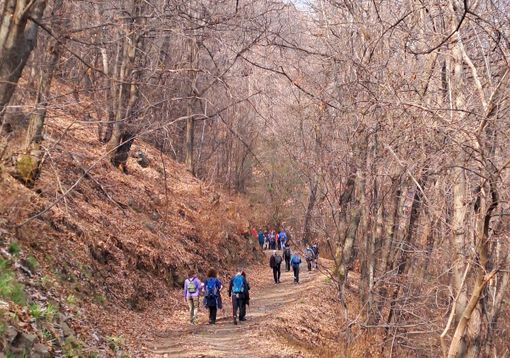 sagliano micca sagliano micca