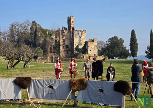 "Nel Nome di Tomea": storia e falconeria al castello di Cerrione. "Nel Nome di Tomea": storia e falconeria al castello di Cerrione.
