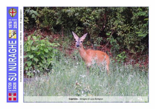 Biodiversità nel Biellese: un dono dei Sardi alla terra di adozione - Foto di Lucio Bordignon